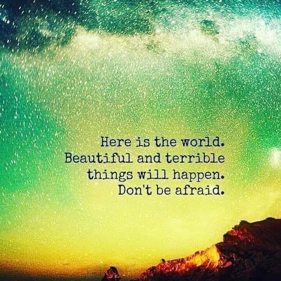 Hi, I’m Jenny! - Picture 16 of 16